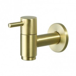 Brush Gold Faucet for...