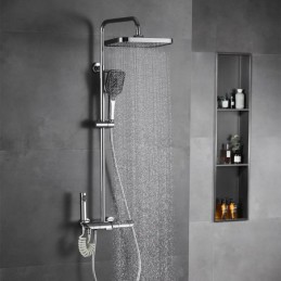 Thermostatic Shower System...