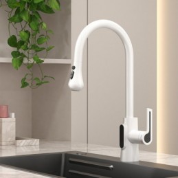 Kitchen Faucet for Hot and...