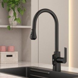 Kitchen Faucet in Black in...