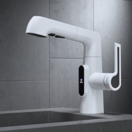 Bathroom Sink Faucet in...
