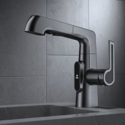 Bathroom Sink Faucet in...
