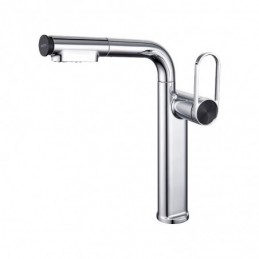Single-Handle Bathroom Sink...