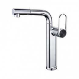 Single-Handle Bathroom Sink...
